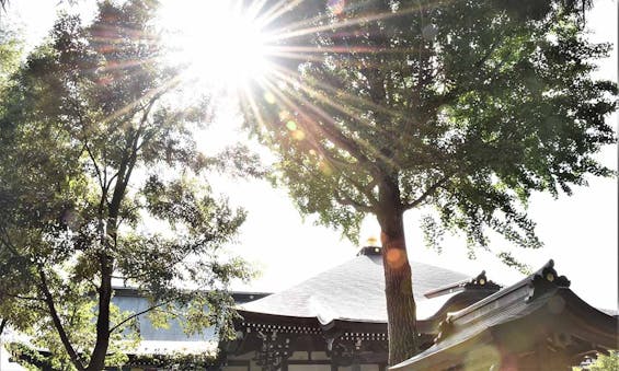 やくし霊園（薬師寺）