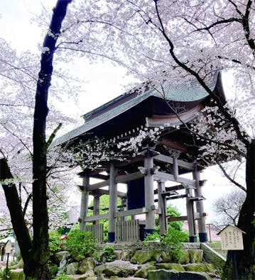 やくし霊園（薬師寺）