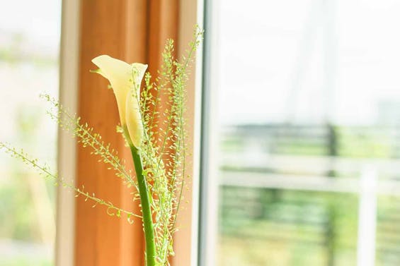 納骨堂てらす 東照寺(札幌)