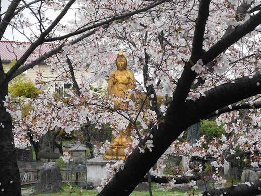 心華寺永代供養墓 メモリアルマンション