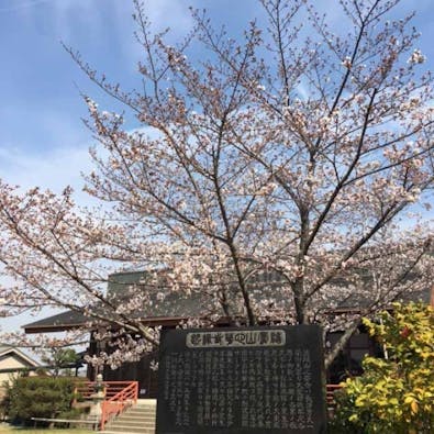 心華寺永代供養墓 メモリアルマンション