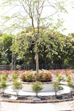 「令和の里」記念樹公苑の画像