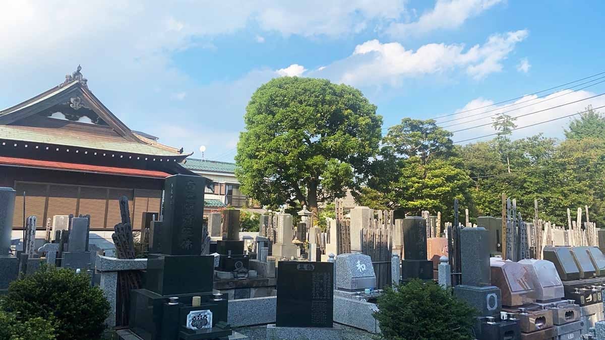 アートメモリー 遍照寺 ストア