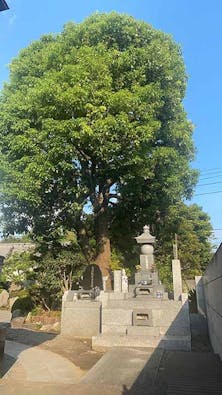 光明山遍照寺