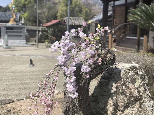 淨土寺 永代納骨堂・永代供養堂