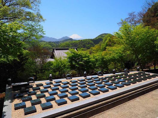 桂林寺 樹木葬・墓地