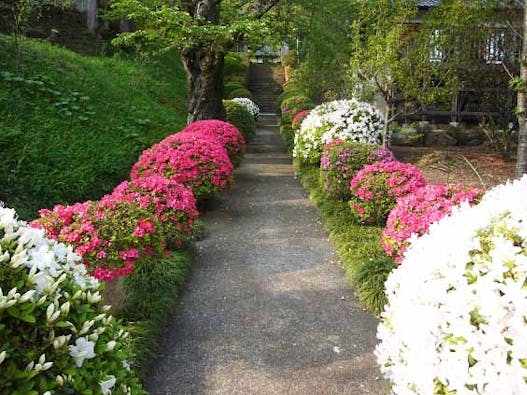 桂林寺 樹木葬・墓地