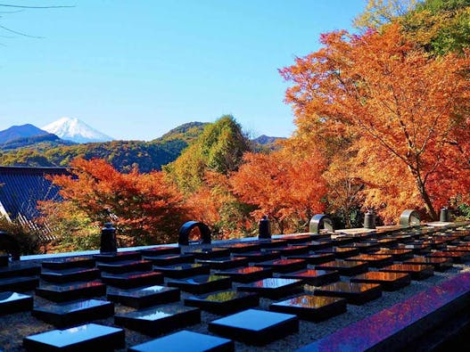 桂林寺 樹木葬・墓地