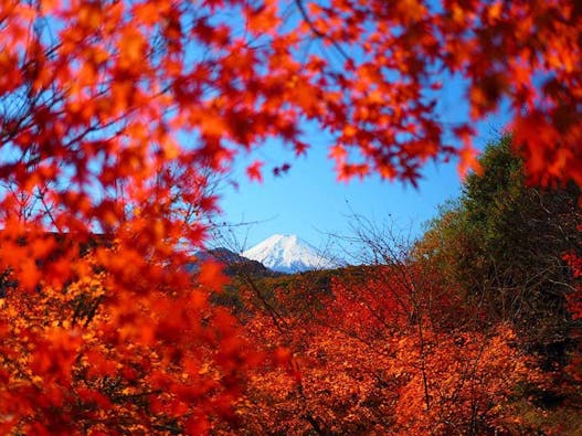 桂林寺 樹木葬・墓地