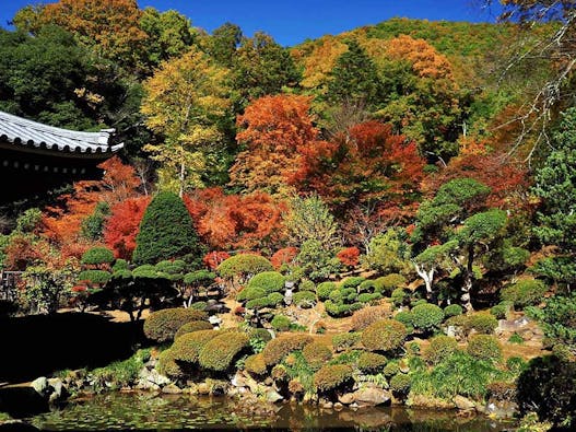 桂林寺 樹木葬・墓地