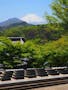 桂林寺 樹木葬・墓地 樹木葬から望む富士山