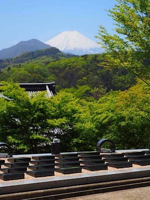 桂林寺 樹木葬・墓地