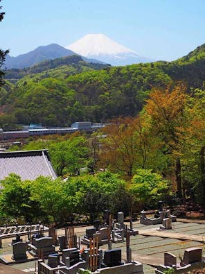 桂林寺 樹木葬・墓地