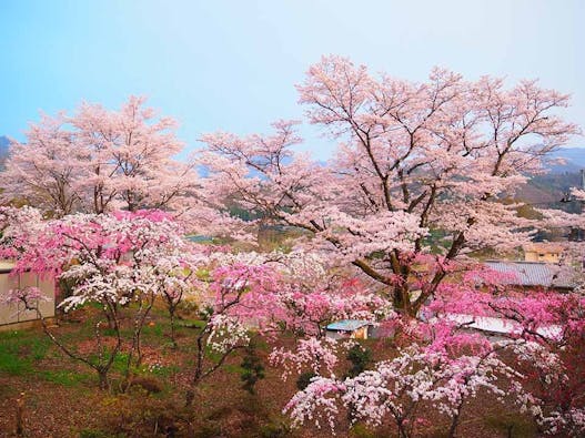 桂林寺 樹木葬・墓地