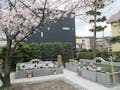 横須賀久里浜 樹木葬永久の郷 春の樹木葬風景