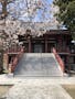横須賀久里浜 樹木葬永久の郷 境内風景（桜の頃）