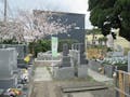 横須賀久里浜 樹木葬永久の郷 春の墓地風景