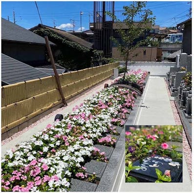 京都府八幡橋本墓苑 ピースフルガーデン