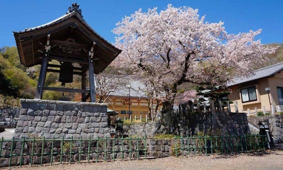 足利 あじさいの郷 吉祥寺