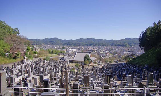 足利 あじさいの郷 吉祥寺