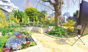 宗参寺『結いの桜』『優美の舞』『蓮香』(新宿区)の樹木葬