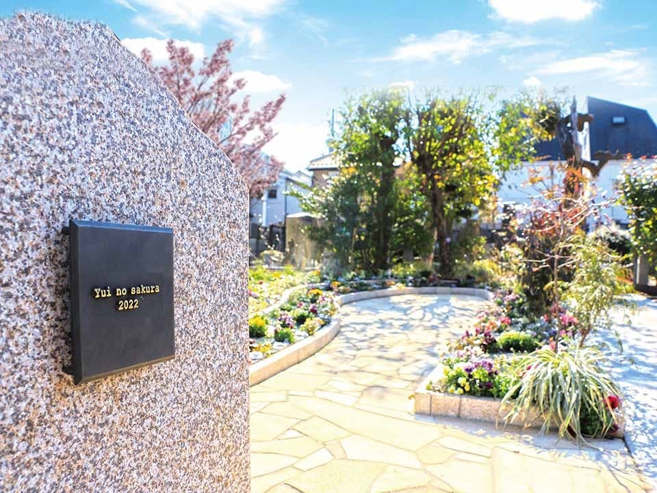 宗参寺『結いの桜』『優美の舞』