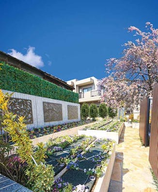 宗参寺『結いの桜』『優美の舞』