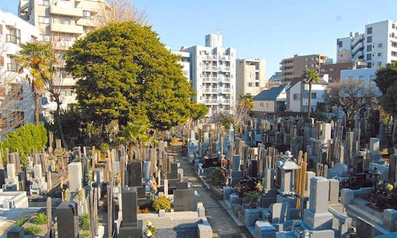 宗参寺『結いの桜』『優美の舞』