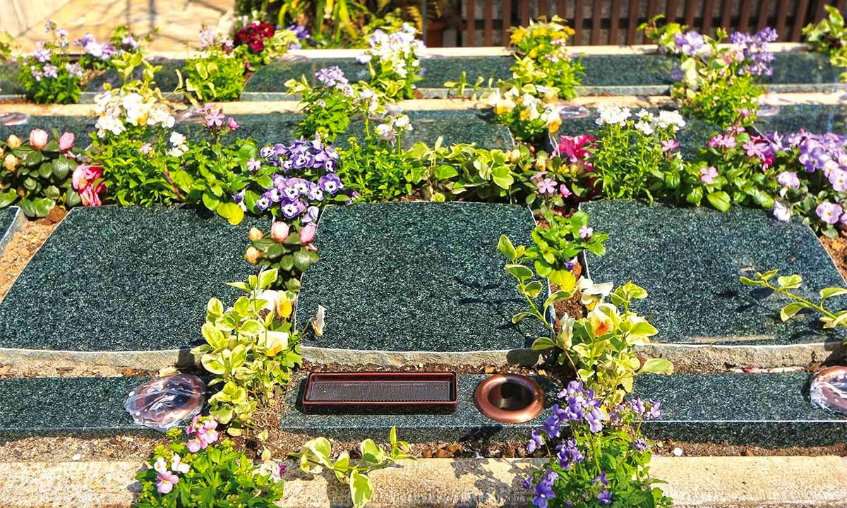 宗参寺『結いの桜』『優美の舞』