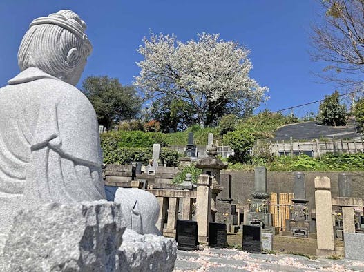 横浜慶珊寺樹木葬墓地第3期