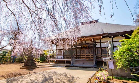 相頓寺 永代供養墓・樹木葬