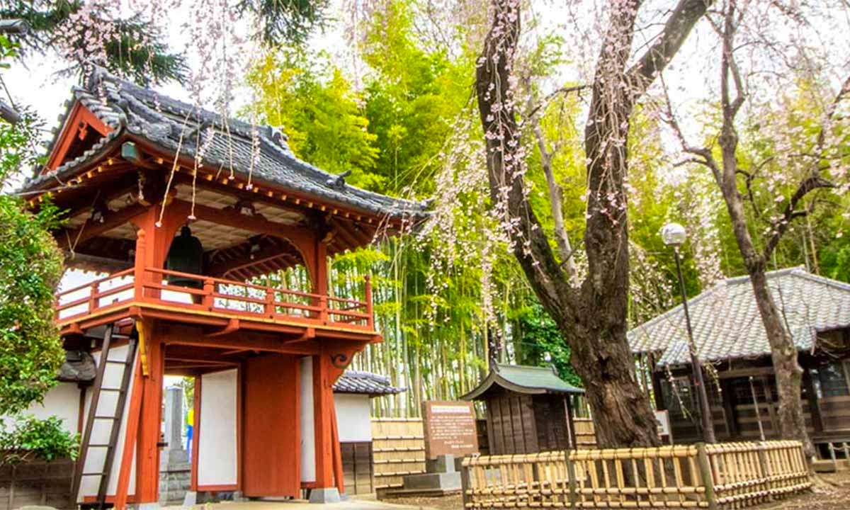 相頓寺 永代供養墓・樹木葬