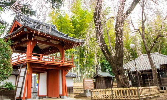 相頓寺 永代供養墓・樹木葬