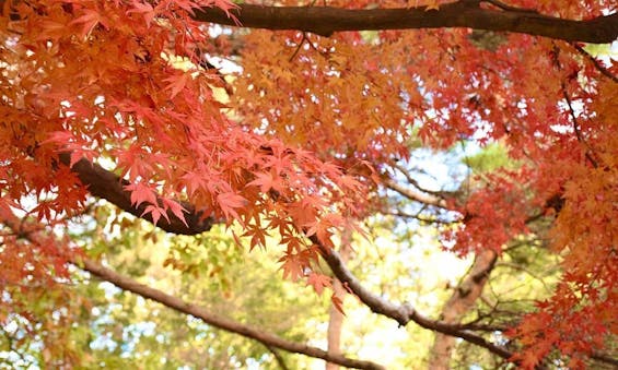 静岡永代供養墓霊園 普済寺