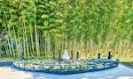 世田谷 樹木葬 『竹林葬』 和の風情を感じる竹林の景観を活かした、日本初の竹林葬です。