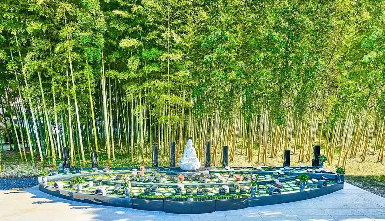 世田谷 樹木葬 『竹林葬』(世田谷区)の霊園・墓地