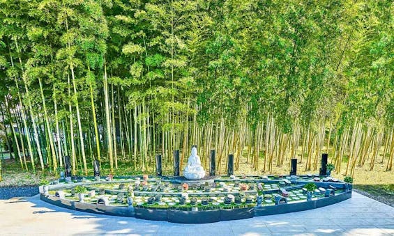 世田谷 樹木葬 『竹林葬』