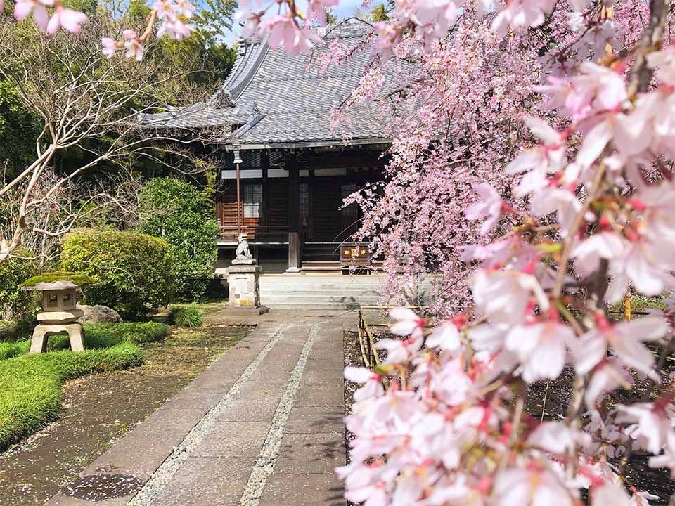 世田谷 樹木葬 『竹林葬』