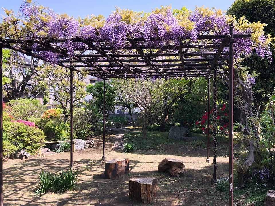 世田谷 樹木葬 『竹林葬』