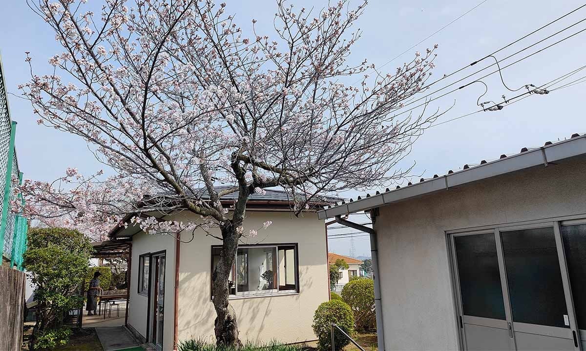 生駒霊苑の画像