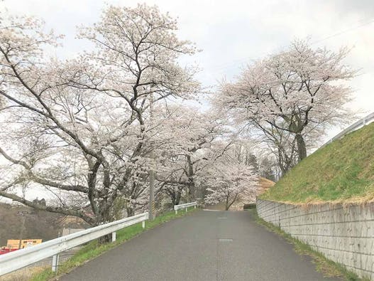 《とみやの丘永代供養墓》桜月の碑