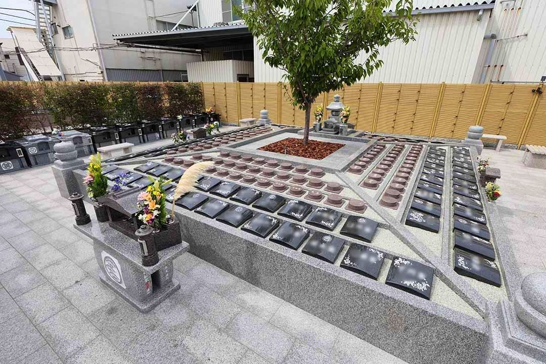 富光寺墓地永代供養さくら樹木葬