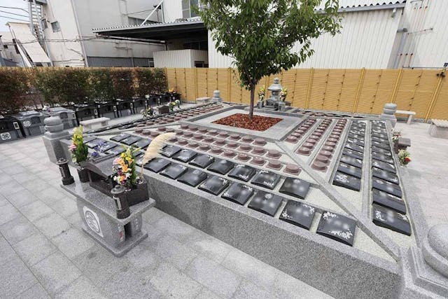 富光寺墓地永代供養さくら樹木葬