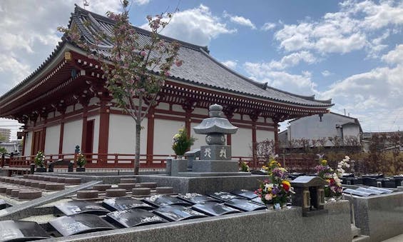 富光寺墓地永代供養さくら樹木葬