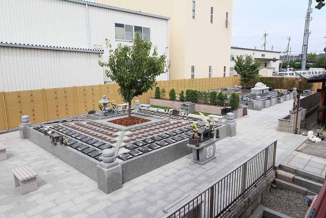 富光寺墓地永代供養さくら樹木葬