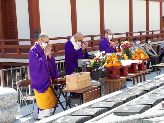 富光寺墓地永代供養さくら樹木葬