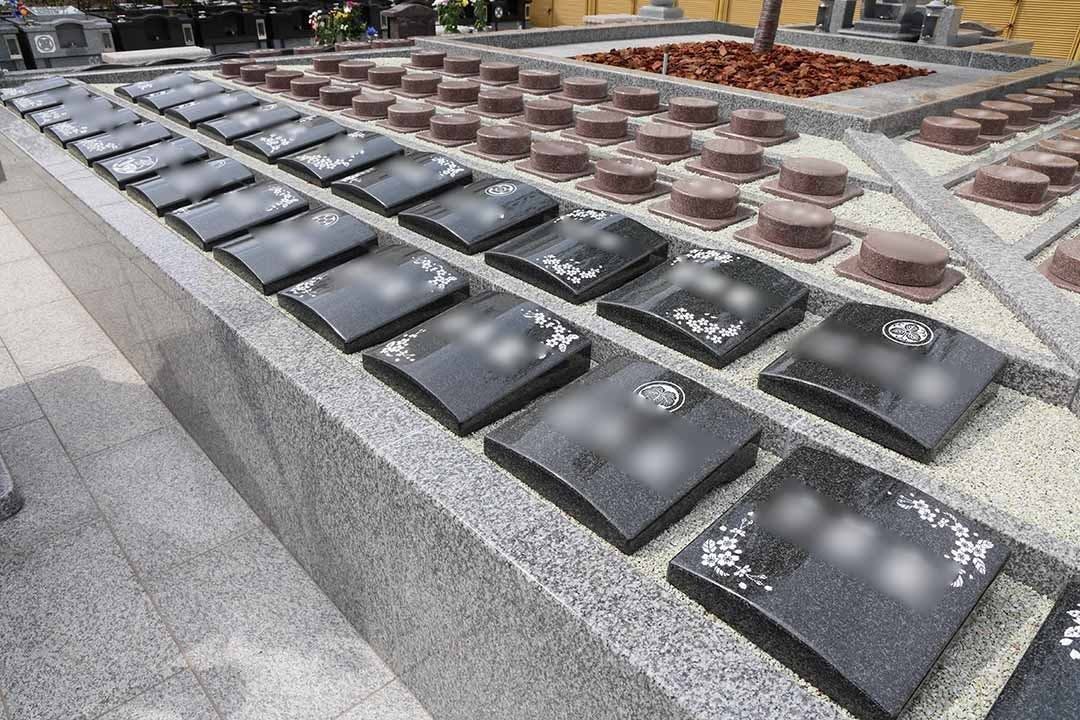 富光寺墓地永代供養さくら樹木葬