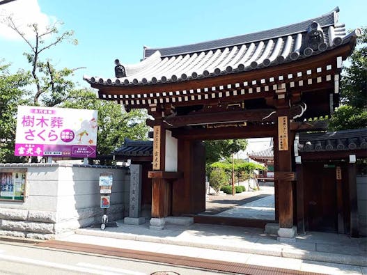 富光寺墓地永代供養さくら樹木葬