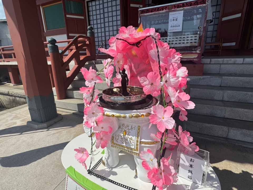 富光寺墓地永代供養さくら樹木葬