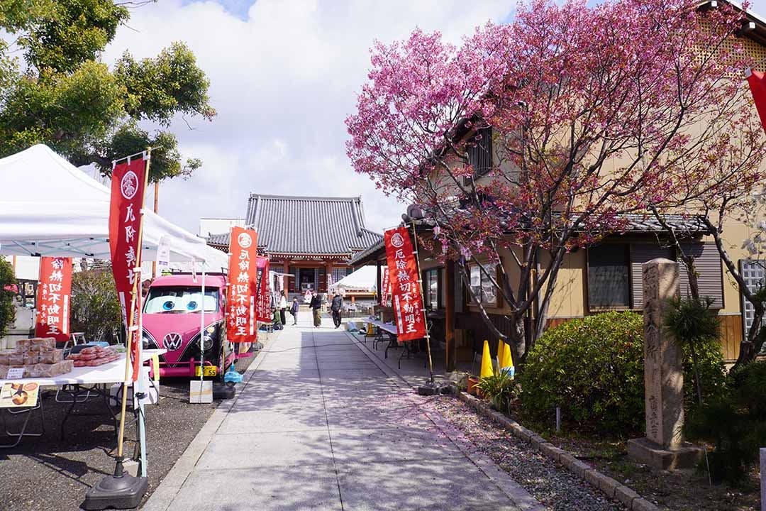 富光寺墓地永代供養さくら樹木葬